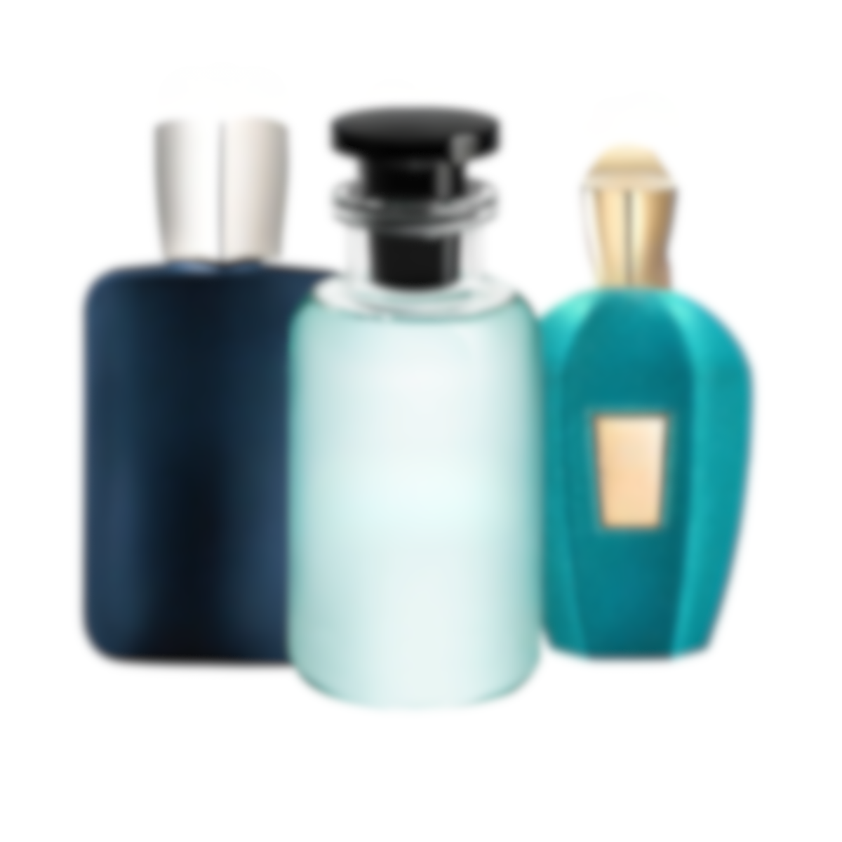 Niche Prestige Set - x3 100 ml / EDP